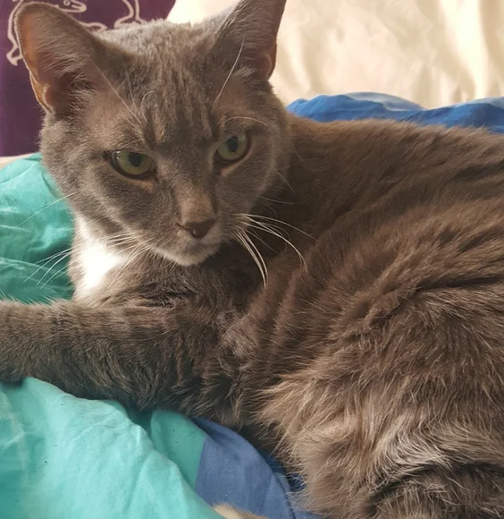 THIS CLOSET - Picture 5 of 8